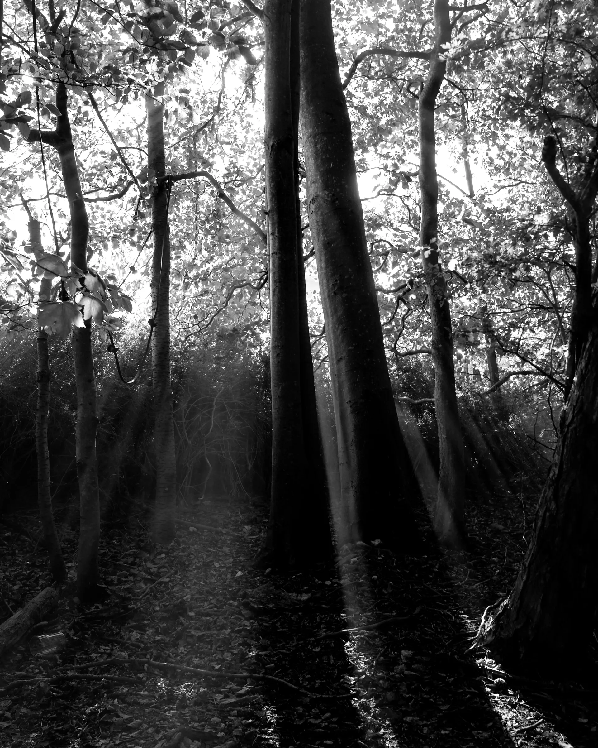 [object Object] content