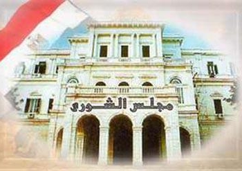 اسفرت نتائج انتخابات الجولة الاولي لمجلس الشوري بالمنيا عن اجراء
