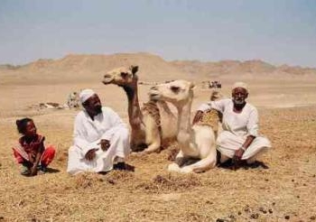 محاولات لدمج بدو سيناء فى العملية السياحية