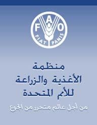 الفاو تحذر من تزايد عدد الأطفال العاملين على مستوى العالم
