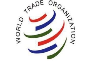 العمل الدولية تحذر من نقل المواهب و210 عاطلين عام 2016