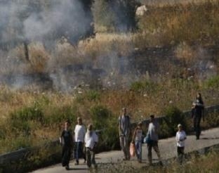 مستوطنون يدمرون أراض زراعية في بيت لحم