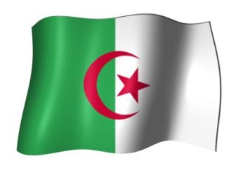 انتخابات محلية وبلدية في الجزائر 29 نوفمبر القادم