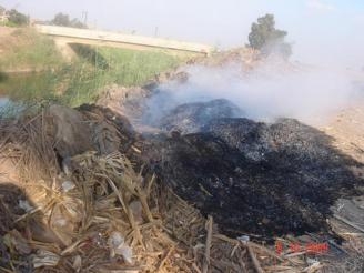 وزيرا البيئة والزراعة يتفقدان مواقع تجميع قش الأرز