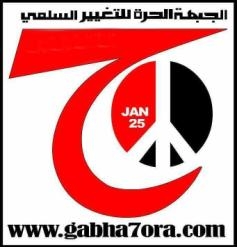 الحرة للتغيير تعلق مراقبة الاستفتاء لجرائم التزوير وتضع تصورات اخرى