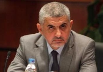 حسن مالك: مصر بوابة الأتراك للأسواق العربية والأفريقية