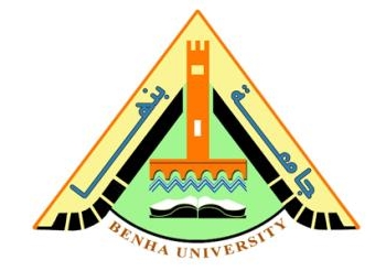 ورشة عمل لعرض المشاكل والمعوقات التي تقابل جراحي المخ والأعصاب الجدد