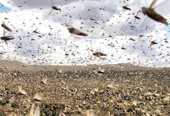 إعلان الطوارئ بأربع محافظات