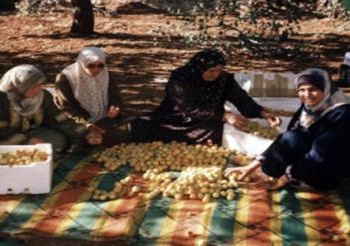 توعية المرأة المعيلة وضمان حقوقها الصحية والاجتماعية
