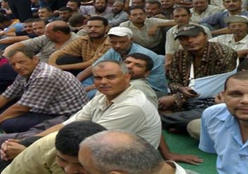 اعتصام عمال مصنع الفيبر بورد بقنا احتجاجا على بند الارباح