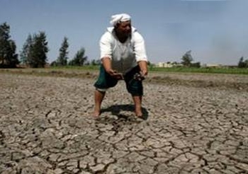لجنة هندسية لفحص محطة مياه البداري المرشحة لتشغيلها بكامل طاقتها