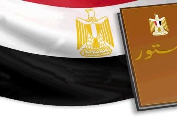 “حماية “بقنا يطالب بوضع مادة فى الدستور
