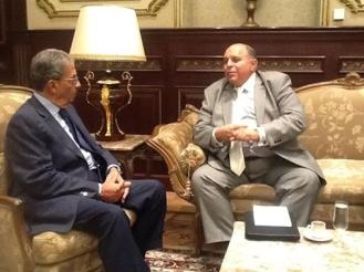 موسى يبحث مع وزير التنمية انشاء قاعدة بيانات للتراث الدستورى