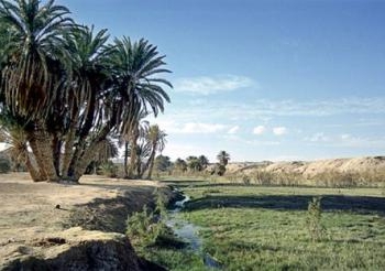 سيناء التي تنزف دما….