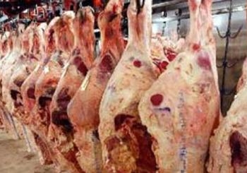 استمرار الطوارئ بالصحة و التموين فى ثاني أيام عيد الأضحى بالسويس