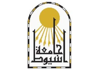 دورتين عن دعم الحق في الانتخاب والتوجه الديموقراطي في صعيد مصر