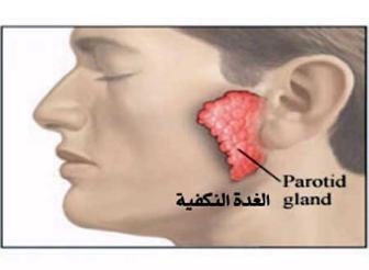 الطب الوقائي يوزع مطبوعات على مدارس المنيا عن الأمراض الوبائية
