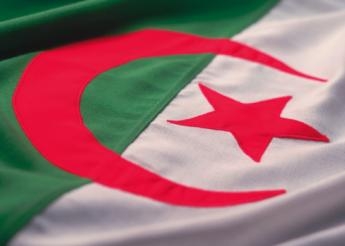الجزائر : الانتخابات الرئاسية ستعقد في ربيع 2014