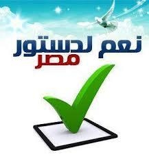 حملة مستقبل وطن تقيم فعاليات نعم للدستور بالشارع القنائى