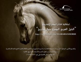 توثيق تاريخ مصر وأهلها في الحفاظ على نقاء سلالة الخيل العربي المصري