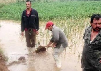 بعد سيول الصعيد:نقابة الفلاحين التعويضات مشروطة