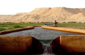 “البحوث للبيئة “بالجامعة الأمريكية يدعم استراتيجيات المزارعين