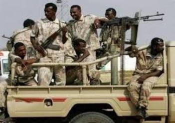 الجيش السوداني يصد هجوما للمتمردين بجنوب كردفان