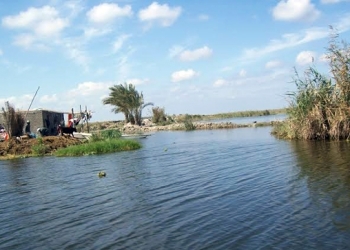 رئيس مجلس مدينة المطرية يتقدم بمذكرة لمحافظ الدقهلية لحل مشاكل بحيرة المنزلة