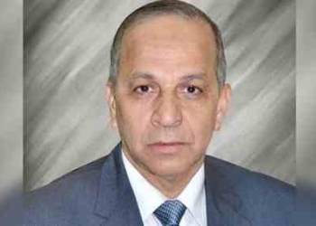 أول محطة كهرباء تعمل بالطاقة الشمسية في محافظة الوادي الجديد بمنحة إماراتية