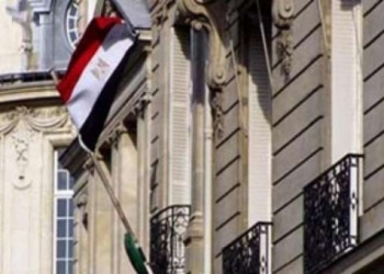 مؤتمر جماهيري بفرنسا لانشاء مجلس استشاري للمصريين في اوروبا