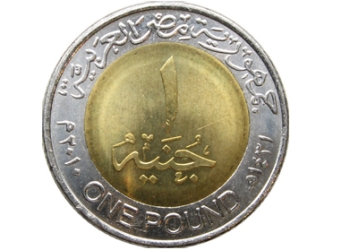 حملة جنيه افندى