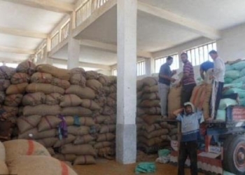 ضبط 1032 طن قمح فاسد و2 طن لانشون و8 نخالة مجهولة المصدر فى حملة تموينية بالفيوم