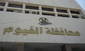ضبط خلية تخريب المحولات والأسلاك الهوائية لأبراج الضغط العالى بالفيوم