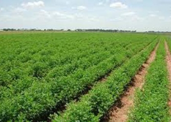 الانتهاء من وضع الصيغة النهائية لأول شركة مساهمة مصرية لتملك الأراضي بالنظام الجديد
