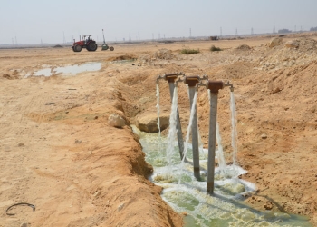 بدء زراعة الغابة الشجرية ببياض العرب