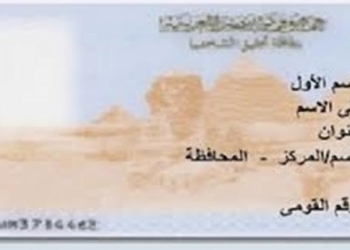 توافد كثيف للمصريين المقيمين في أوروبا لاستخراج بطاقة الرقم القومي