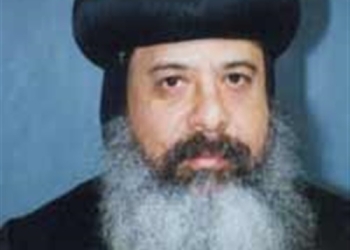 تشكيل لجنة من علمانيين وكهنة وأطباء للعمل في المجالس الإكليريكية الجديدة