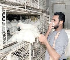 الصحة تعلن عن وفاة سيدة باسيوط بمرض انفلونزا الطيور وفى انتظار نتائج عينات ابنتها ذات العامين 