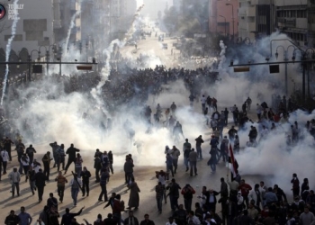 وفدي في دمياط يتهم الإخوان بقتل المتظاهرين