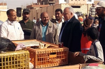 اعتماد 4 ملايين جنيه لمشروعات تنموية ،ورصف طرق داخليه بمركز الفرافرة