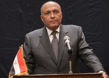شكري يستقبل سكرتير عام منظمة الكوميسا