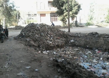 ” حماية ” يطالب بحماية 2000 مواطن من الأوبئة بنجع حمادى