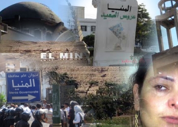 المنيا في عام 2014..
