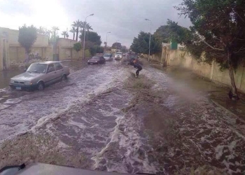 الحياة تتوقف بسبب تراكم المياه نتيجة عطل بالصرف الصحي بالمنتزة 