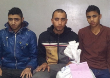 ضبط 3 بالمنوفية أشعلوا النيران على الطريق الزراعى