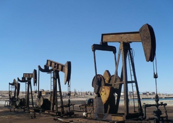 أبحاث لزيادة الحصيلة البترولية في علوم المنوفية