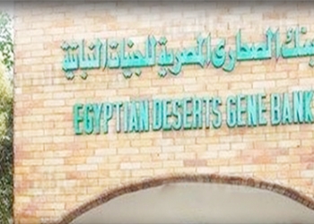 فصل الكهرباء عن بنك “الجينات” بمدينة الشيخ زويد