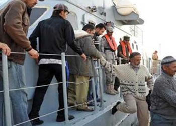 عودة ٣٠٠ صياد لميناء برج رشيد