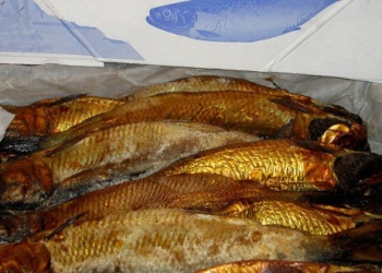 ضبط 1.5 طن “رنجة” فاسدة قبل طرحها بأسواق الغربية