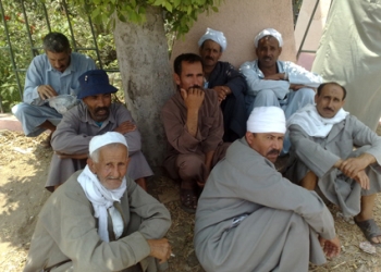الآلاف من مزارعى السادات ووادى النطرون ينظمون وقفة احتجاجية أمام وزراة الزراعة غدا
